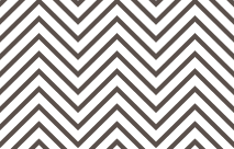 Layer 691 copy 14
